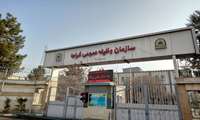 بررسی معافیت تحصیلی دانشجویان، اداره پذیرش و ثبت‌نام دانشگاه