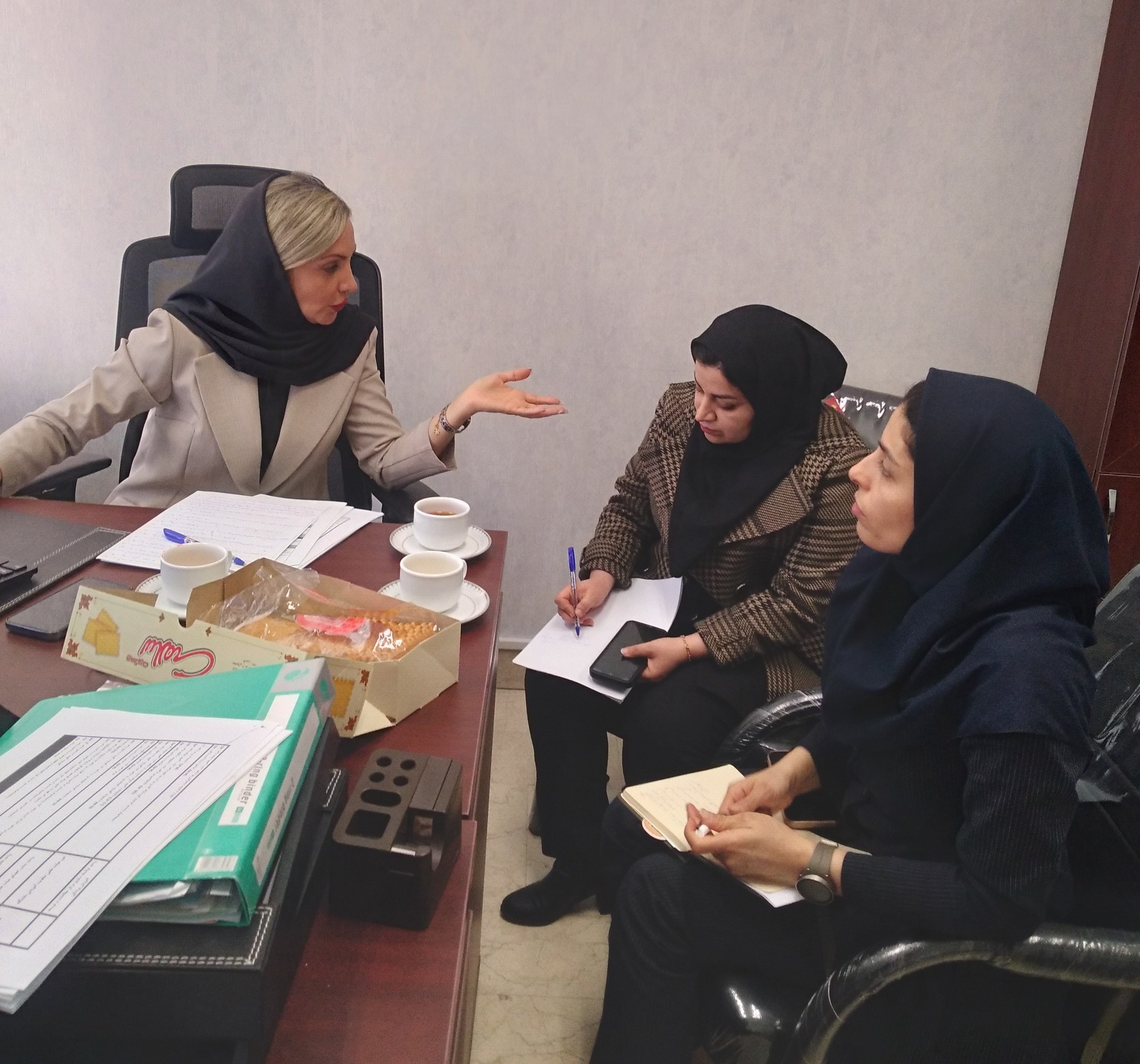 کارگاه اعتباربخشی مؤسسه‌ای دانشگاه  برگزار شد.